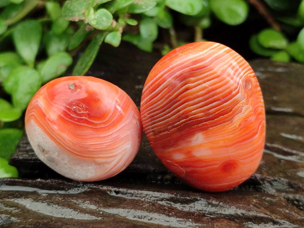 Polished Carnelian Agate Gemstone Galets x 20 From Madagascar - Toprock Gemstones and Minerals 