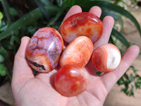 Polished Carnelian Agate Gemstone Galets x 20 From Madagascar