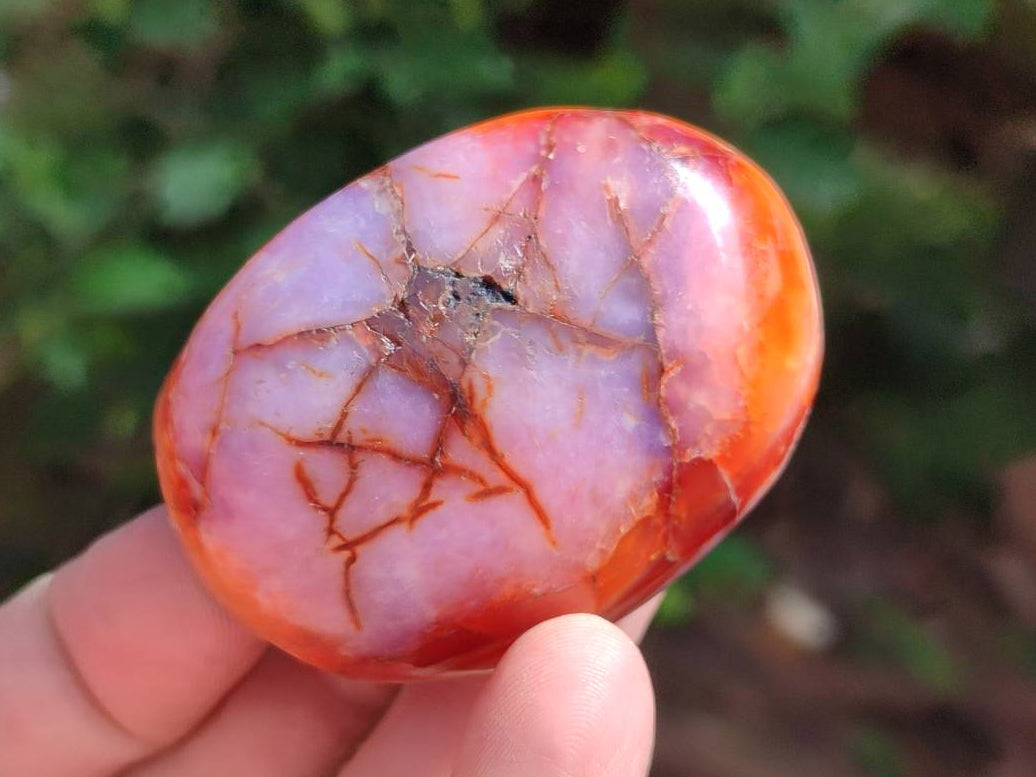 Polished Carnelian Agate Gemstone Galets x 20 From Madagascar - Toprock Gemstones and Minerals 