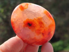 Polished Carnelian Agate Gemstone Galets x 20 From Madagascar - Toprock Gemstones and Minerals 