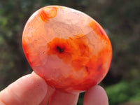 Polished Carnelian Agate Gemstone Galets x 20 From Madagascar