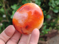 Polished Carnelian Agate Gemstone Galets x 20 From Madagascar