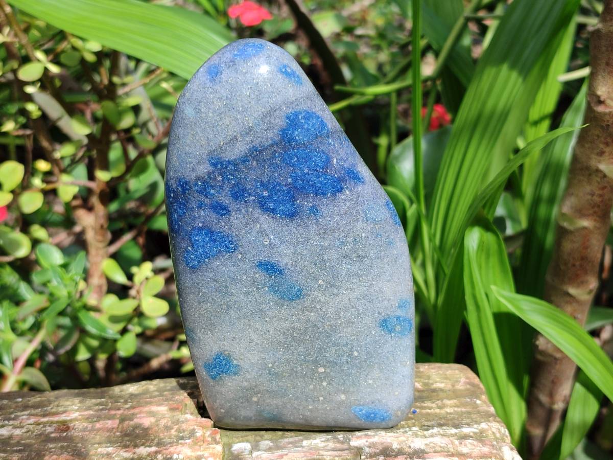Polished Blue Spotted Spinel in Quartz Standing Free Form x 2 From Madagascar - Toprock Gemstones and Minerals 