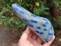 Polished Blue Spotted Spinel in Quartz Standing Free Form x 2 From Madagascar - Toprock Gemstones and Minerals 