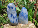 Polished Blue Spotted Spinel in Quartz Standing Free Form x 2 From Madagascar - Toprock Gemstones and Minerals 
