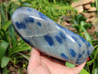 Polished Blue Spotted Spinel in Quartz Standing Free Form x 2 From Madagascar - Toprock Gemstones and Minerals 