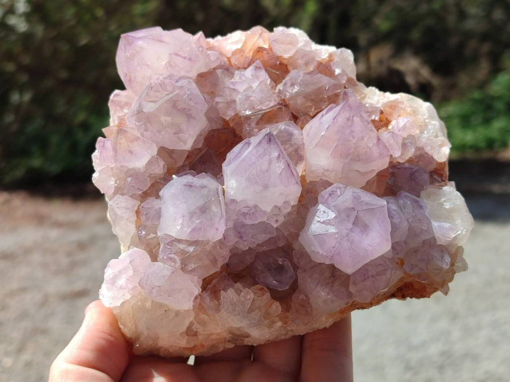 Natural Sunburst Amethyst Spirit Quartz Clusters x 2 From Boekenhouthoek, South Africa - Toprock Gemstones and Minerals 