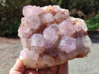 Natural Sunburst Amethyst Spirit Quartz Clusters x 2 From Boekenhouthoek, South Africa - Toprock Gemstones and Minerals 