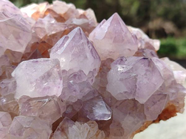 Natural Sunburst Amethyst Spirit Quartz Clusters x 2 From Boekenhouthoek, South Africa