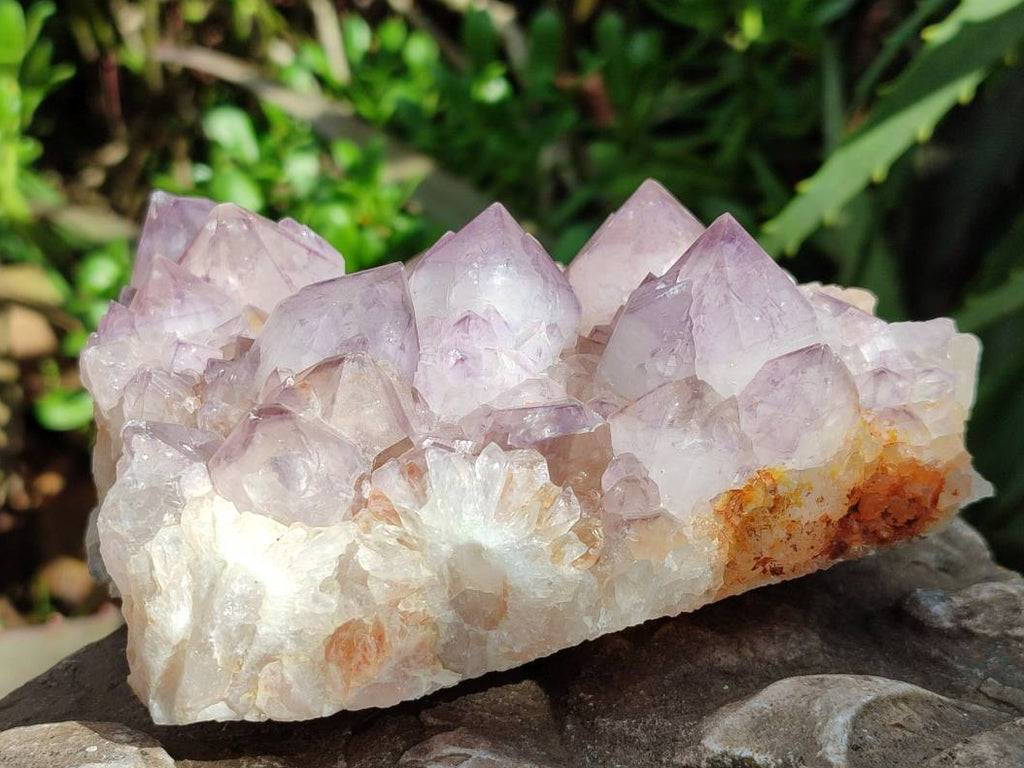 Natural Sunburst Amethyst Spirit Quartz Clusters x 2 From Boekenhouthoek, South Africa - Toprock Gemstones and Minerals 