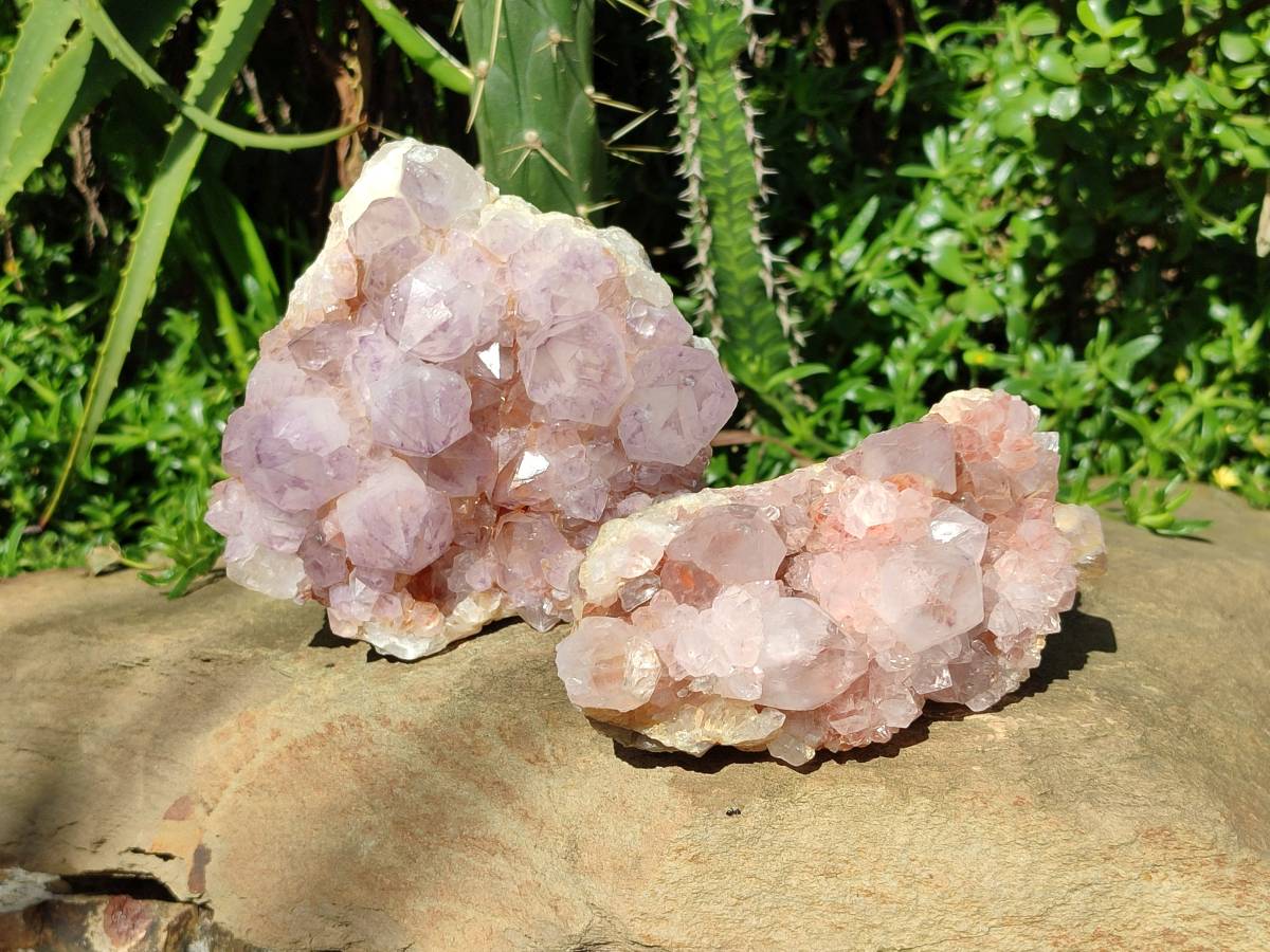 Natural Sunburst Amethyst Spirit Quartz Clusters x 2 From Boekenhouthoek, South Africa - Toprock Gemstones and Minerals 