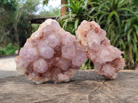 Natural Sunburst Amethyst Spirit Quartz Clusters x 2 From Boekenhouthoek, South Africa