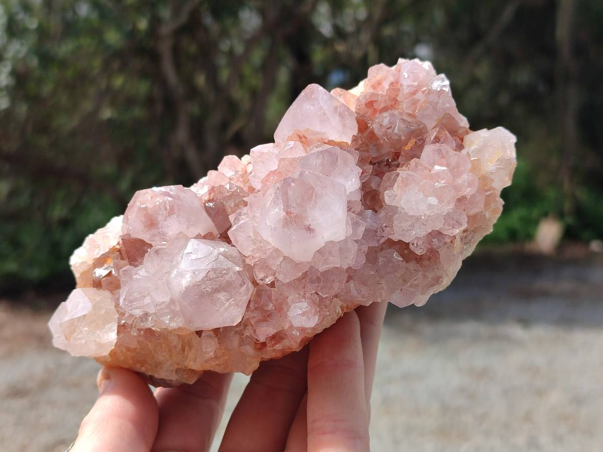 Natural Sunburst Amethyst Spirit Quartz Clusters x 2 From Boekenhouthoek, South Africa - Toprock Gemstones and Minerals 