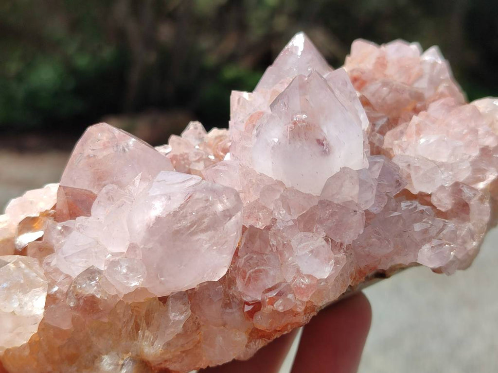 Natural Sunburst Amethyst Spirit Quartz Clusters x 2 From Boekenhouthoek, South Africa - Toprock Gemstones and Minerals 