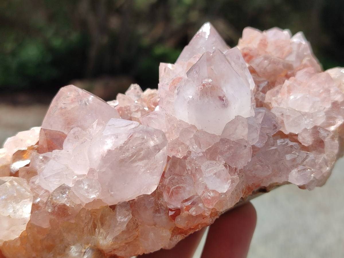 Natural Sunburst Amethyst Spirit Quartz Clusters x 2 From Boekenhouthoek, South Africa - Toprock Gemstones and Minerals 