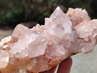 Natural Sunburst Amethyst Spirit Quartz Clusters x 2 From Boekenhouthoek, South Africa