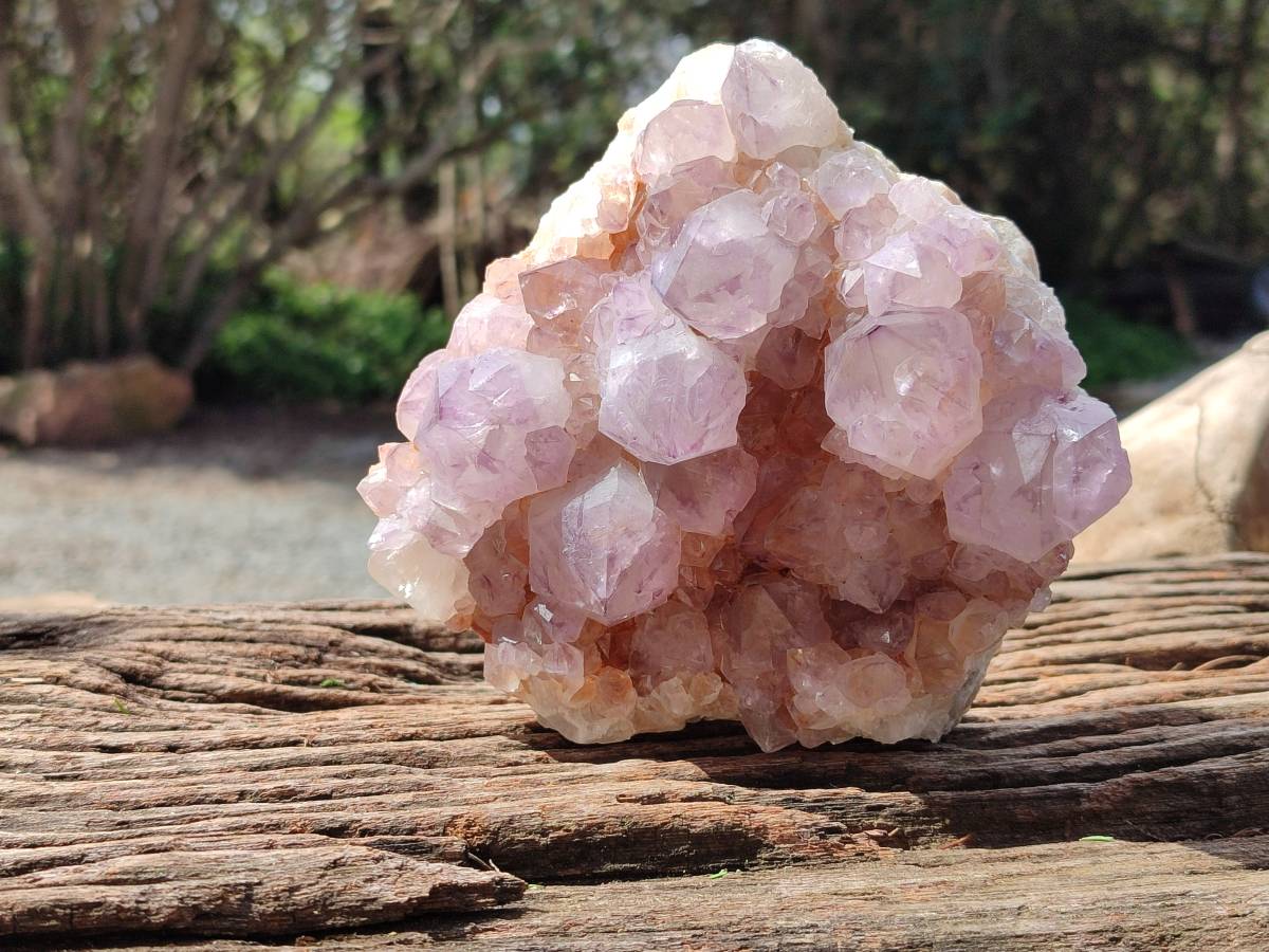 Natural Sunburst Amethyst Spirit Quartz Clusters x 2 From Boekenhouthoek, South Africa - Toprock Gemstones and Minerals 