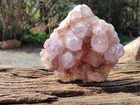 Natural Sunburst Amethyst Spirit Quartz Clusters x 2 From Boekenhouthoek, South Africa
