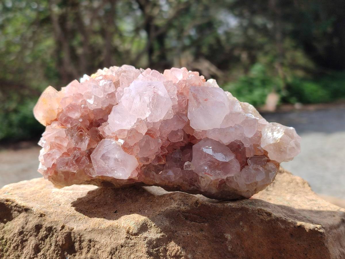 Natural Sunburst Amethyst Spirit Quartz Clusters x 2 From Boekenhouthoek, South Africa - Toprock Gemstones and Minerals 