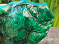 Polished Large Flower Banded Malachite Free Form x 1 From Congo