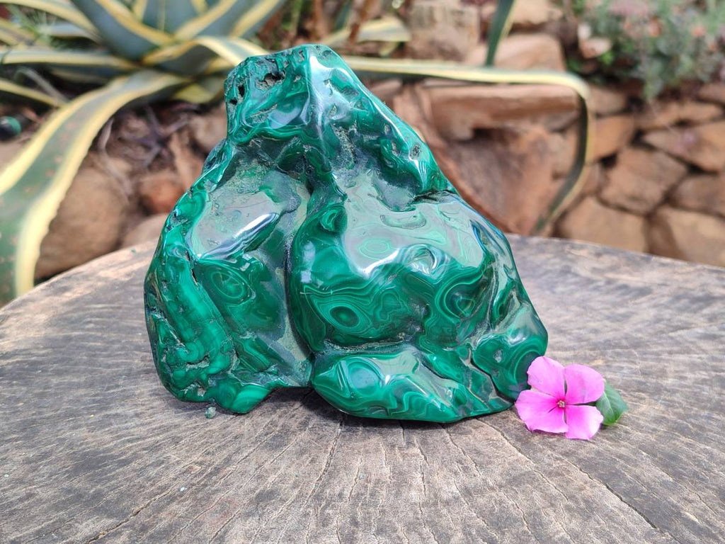 Polished Large Flower Banded Malachite Free Form x 1 From Congo - Toprock Gemstones and Minerals 