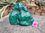 Polished Large Flower Banded Malachite Free Form x 1 From Congo - Toprock Gemstones and Minerals 