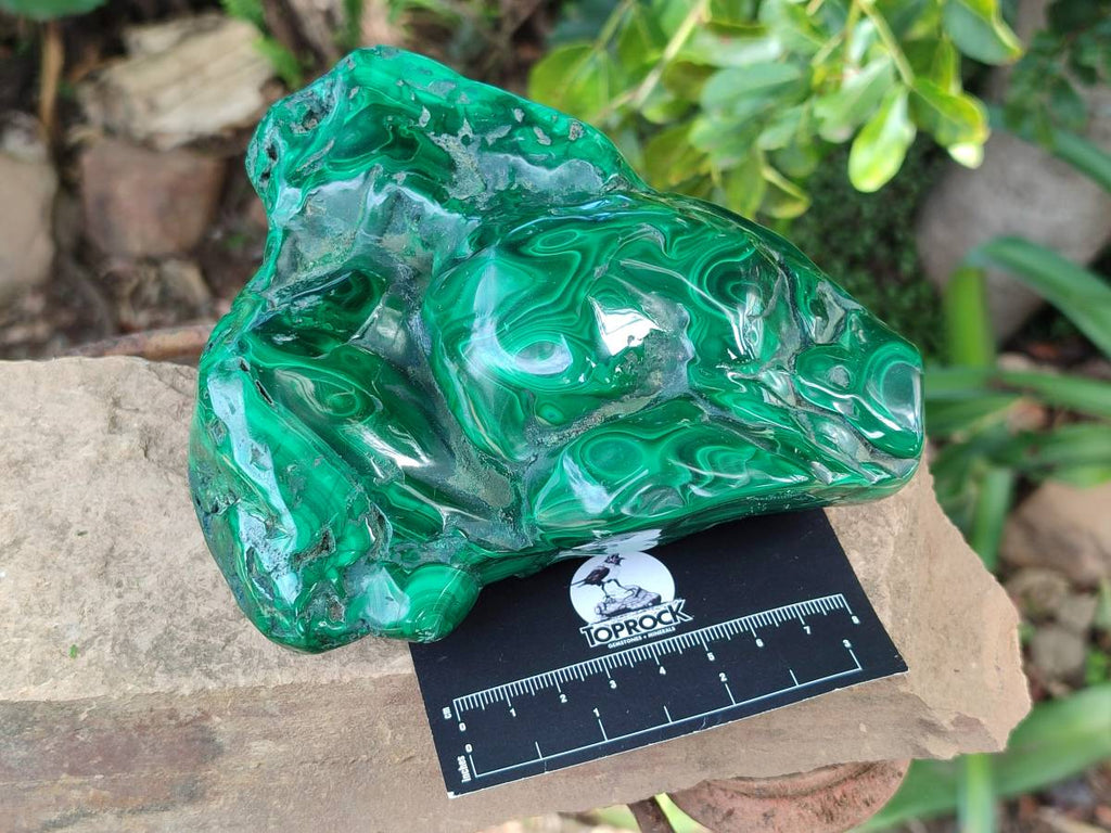 Polished Large Flower Banded Malachite Free Form x 1 From Congo - Toprock Gemstones and Minerals 