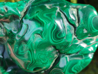 Polished Large Flower Banded Malachite Free Form x 1 From Congo