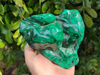 Polished Large Flower Banded Malachite Free Form x 1 From Congo