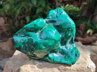 Polished Large Flower Banded Malachite Free Form x 1 From Congo