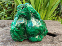 Polished Large Flower Banded Malachite Free Form x 1 From Congo