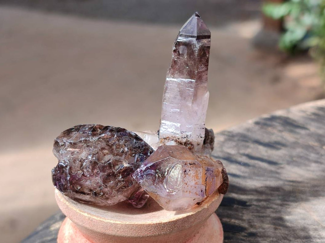 Natural Window Amethyst Crystals x 46 From Chiredzi, Zimbabwe - Toprock Gemstones and Minerals 