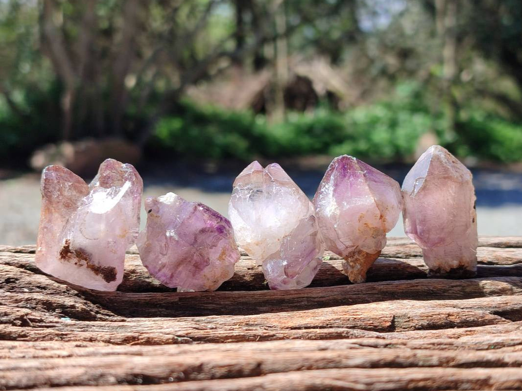 Natural Window Amethyst Crystals x 46 From Chiredzi, Zimbabwe - Toprock Gemstones and Minerals 