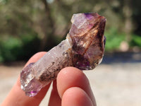 Natural Window Amethyst Crystals x 46 From Chiredzi, Zimbabwe