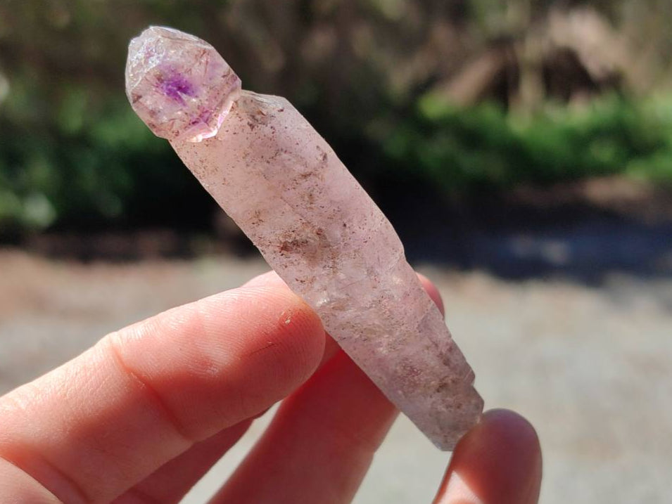 Natural Window Amethyst Crystals x 46 From Chiredzi, Zimbabwe - Toprock Gemstones and Minerals 