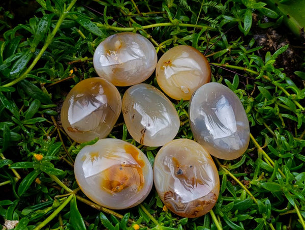 Polished Mixed Agate Galets x 24 From Madagascar