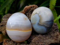 Polished Mixed Agate Galets x 24 From Madagascar