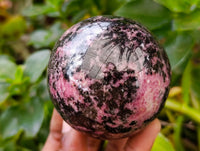 Polished Rhodonite Spheres x 3 From Ambindavato, Madagascar