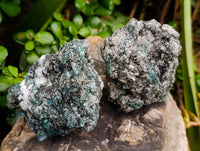 Natural Emerald Mica 'Mutokolite' Cobbed Specimens x 6 From Mutoko, Zimbabwe