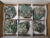 Natural Emerald Mica 'Mutokolite' Cobbed Specimens x 6 From Mutoko, Zimbabwe