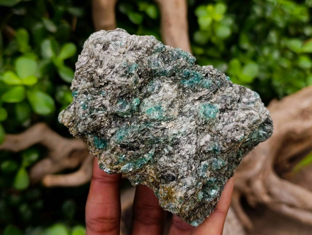 Natural Emerald Mica 'Mutokolite' Cobbed Specimens x 6 From Mutoko, Zimbabwe - Toprock Gemstones and Minerals 