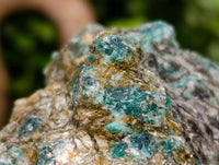 Natural Emerald Mica 'Mutokolite' Cobbed Specimens x 6 From Mutoko, Zimbabwe