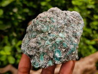 Natural Emerald Mica 'Mutokolite' Cobbed Specimens x 6 From Mutoko, Zimbabwe