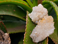 Natural Limonite Quartz Clusters x 35 From Solwezi, Zambia
