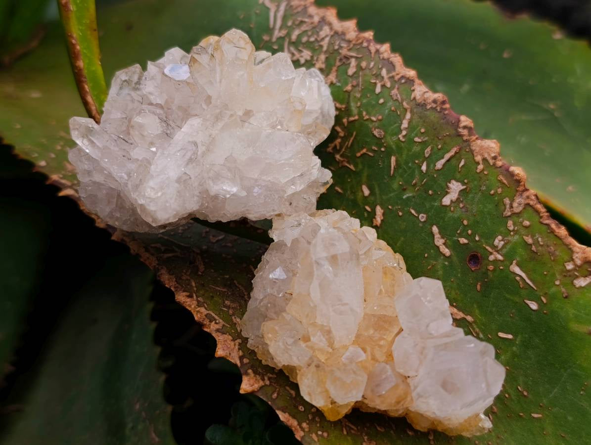 Natural Limonite Quartz Clusters x 35 From Solwezi, Zambia - Toprock Gemstones and Minerals 