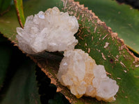 Natural Limonite Quartz Clusters x 35 From Solwezi, Zambia