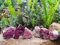 Natural Salrose Cobaltion Dolomite Specimens x 6 From Kakanda, Congo