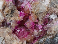 Natural Salrose Cobaltion Dolomite Specimens x 6 From Kakanda, Congo