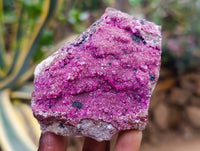 Natural Salrose Cobaltion Dolomite Specimens x 6 From Kakanda, Congo