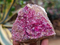 Natural Salrose Cobaltion Dolomite Specimens x 6 From Kakanda, Congo